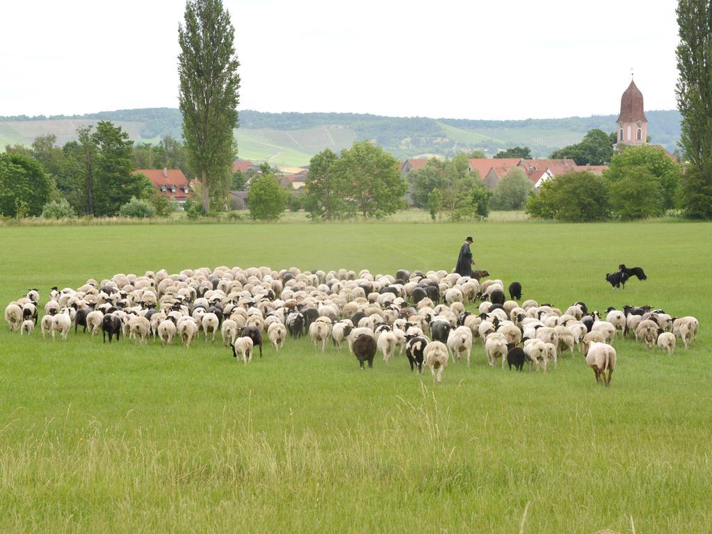 Ferienwohnungen Schuh Ipsheim Luaran gambar